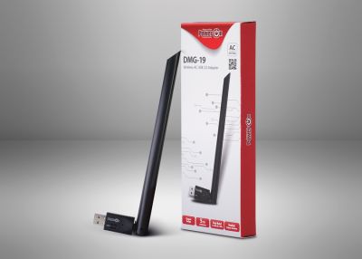 DMG-19